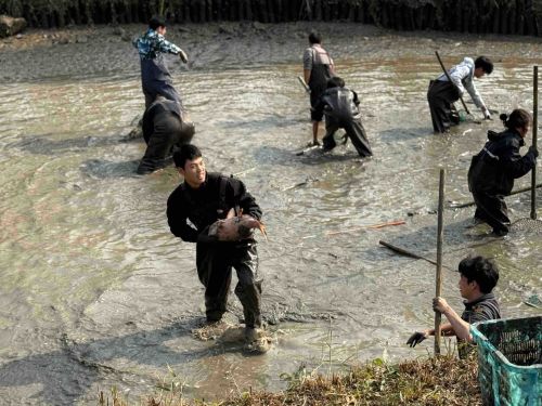 8e73faf7-56d4-454d-b152-7d8532d511bc.jpg 8e73faf7-56d4-454d-b152-7d8532d511bc.jpg